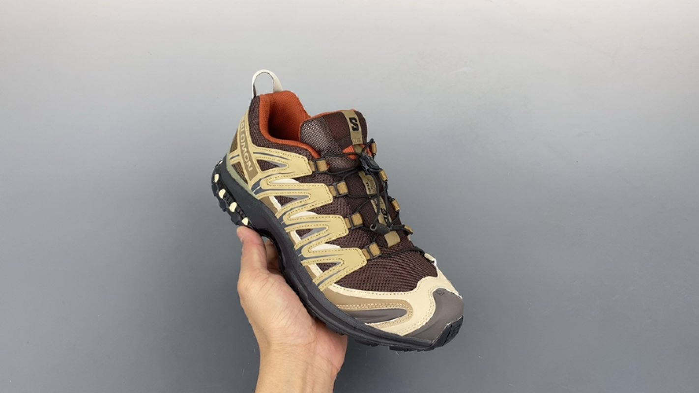 Salomon XT 3D GTX