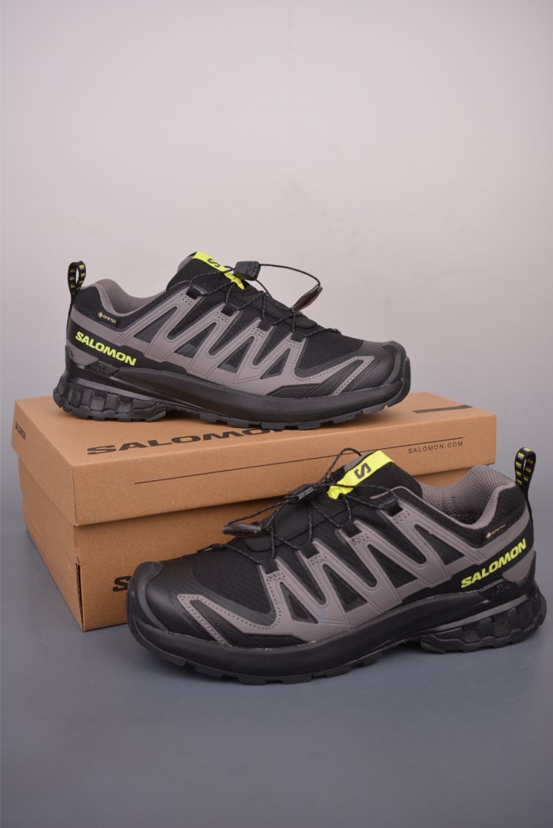 Salomon XA Pro 3D V9 GTX view