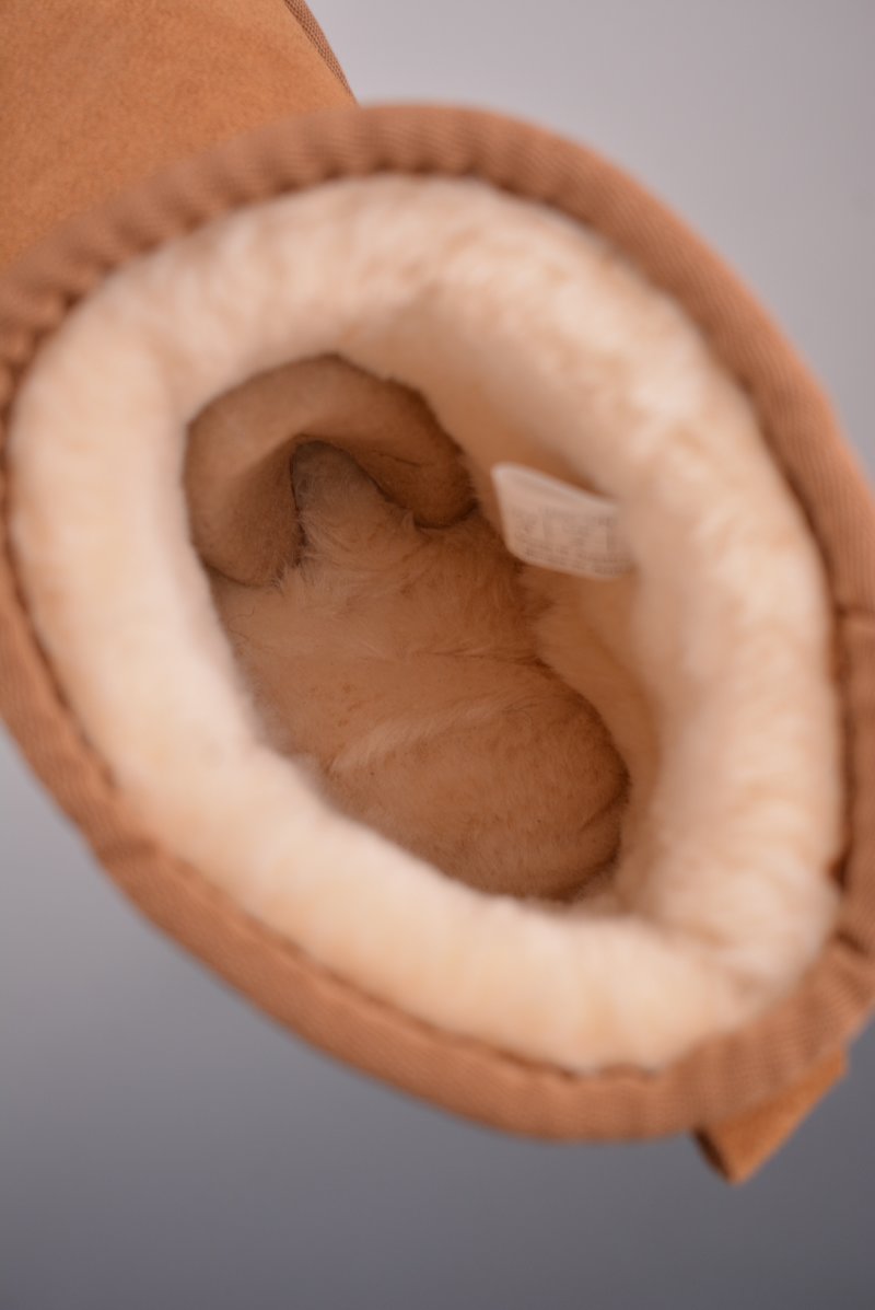 UGG Classic Mini view