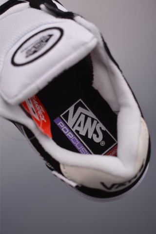 Vans Wayvee Skate 'Brighton' view 9