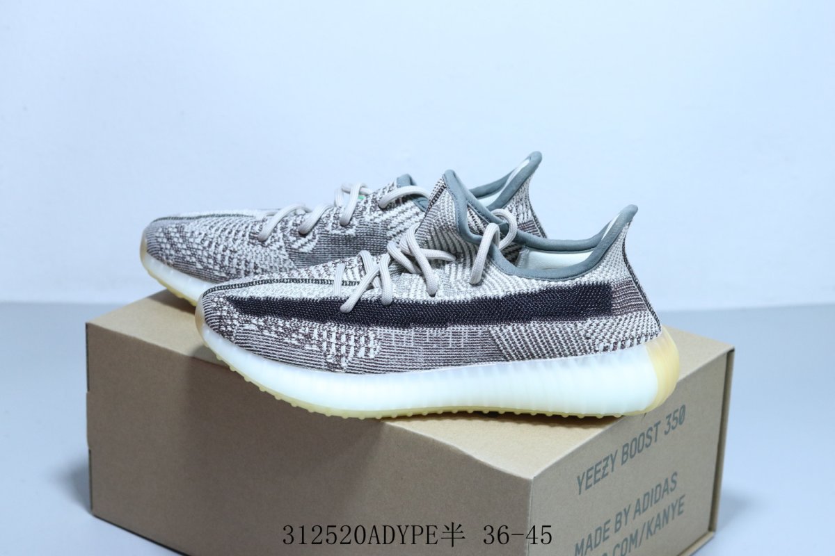 Yeezy Boost 350 V2 view