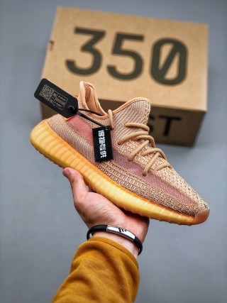 Yeezy Boost 350 V2 'Mono Cinder' view 9