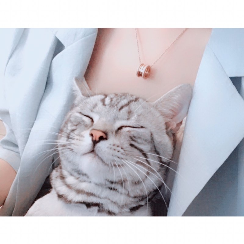 Bvlgari Spring Diamond Necklace Rose Gold view