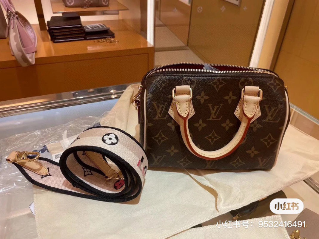 Louis Vuitton Speedy 20 Monogram Handbag - Milk Tea Beige view