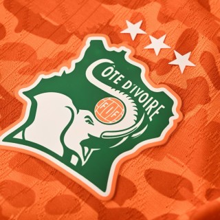 Puma 2026 World Cup National Team Orange Leopard Print Jersey view 5