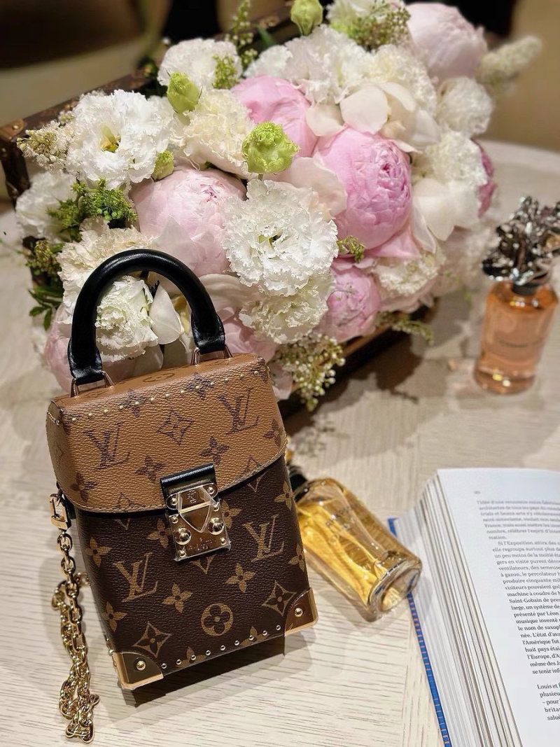 Louis Vuitton Monogram Studded Camera Box Bag Brown view
