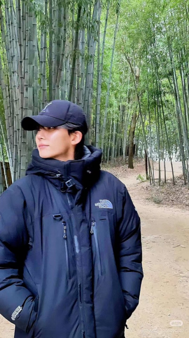 The North Face Black Down Puffer Jacket view