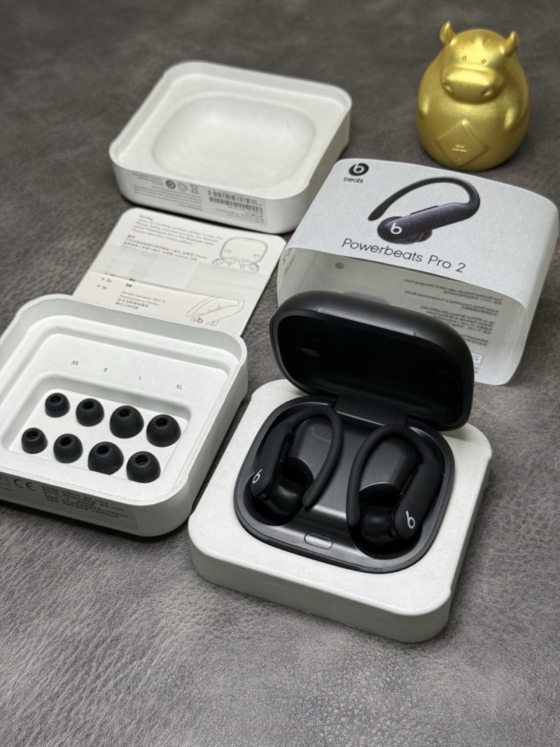 Beats Powerbeats Pro 2 Black Wireless Earphones