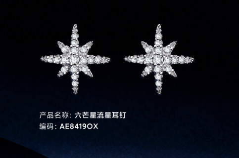 APM Monaco Six-Point Star Crystal Stud Earrings Silver view 4