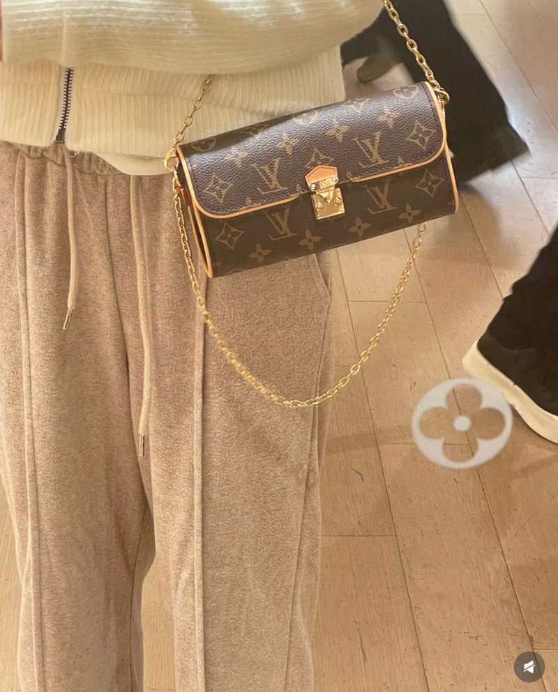 Louis Vuitton Monogram WOC Wallet on Chain Brown