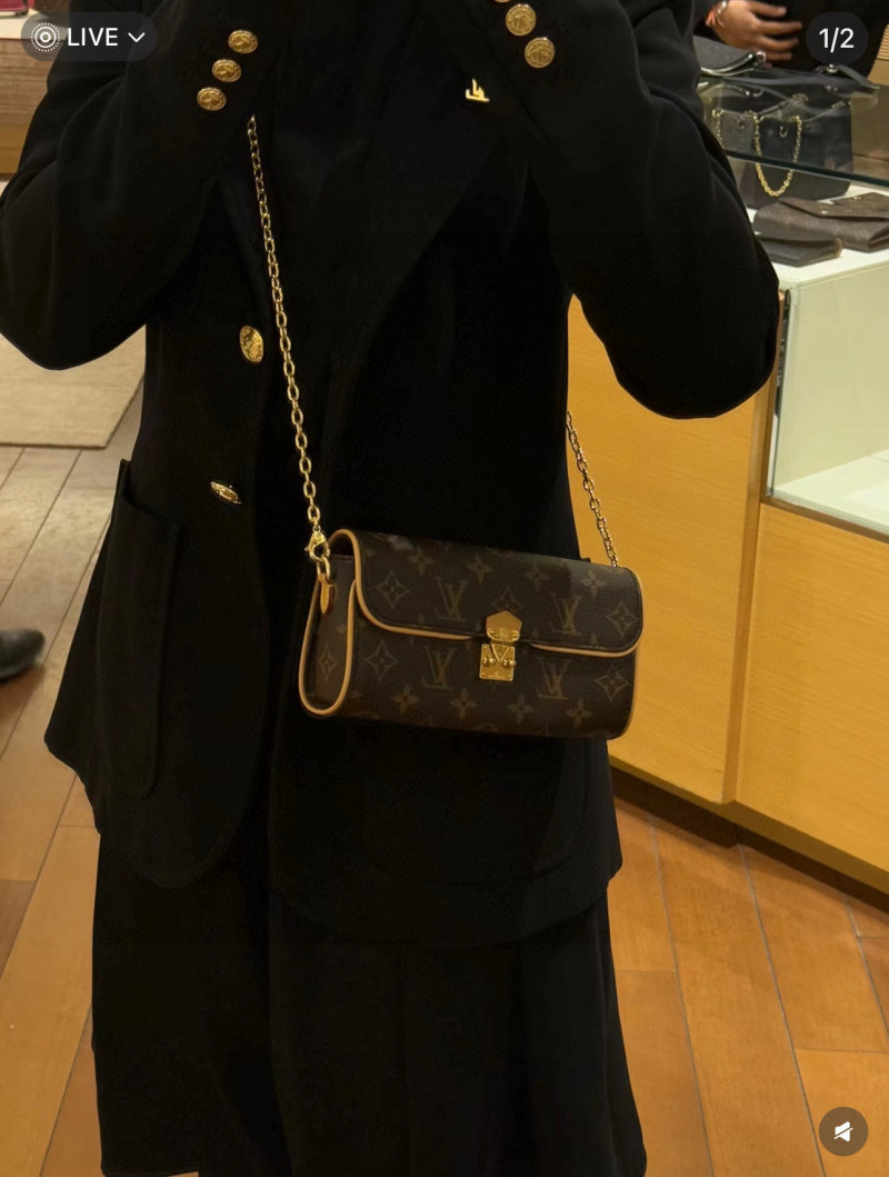 Louis Vuitton Monogram WOC Wallet on Chain Brown view