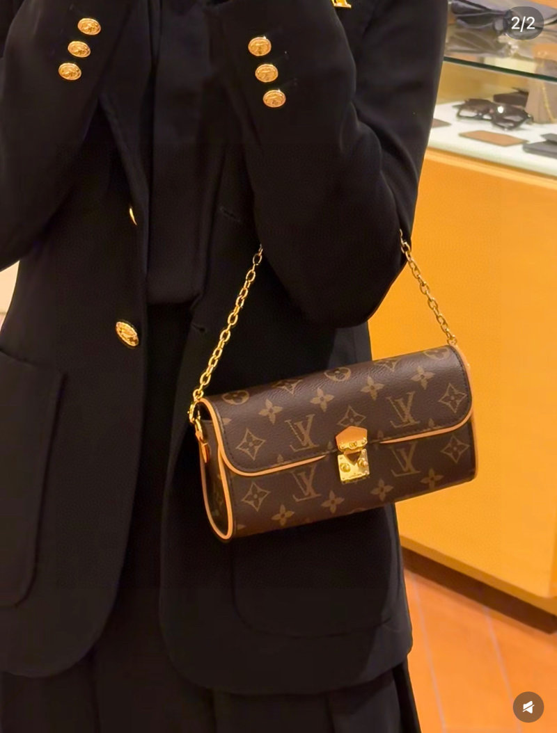Louis Vuitton Monogram WOC Wallet on Chain Brown view