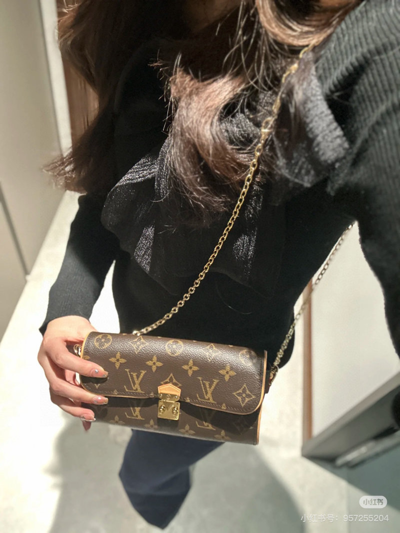 Louis Vuitton Monogram WOC Wallet on Chain Brown view