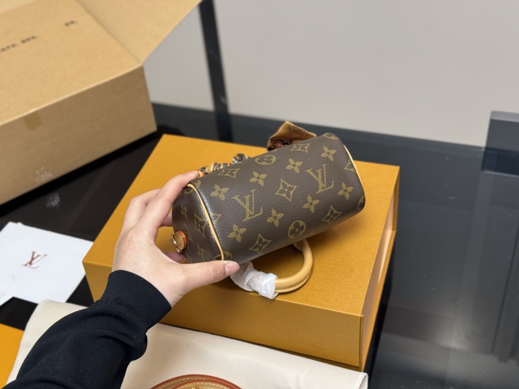Louis Vuitton Speedy Nano Monogram Canvas Handbag view