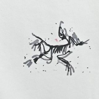 Arc'teryx Skeleton Bird Logo T-Shirt White view 7