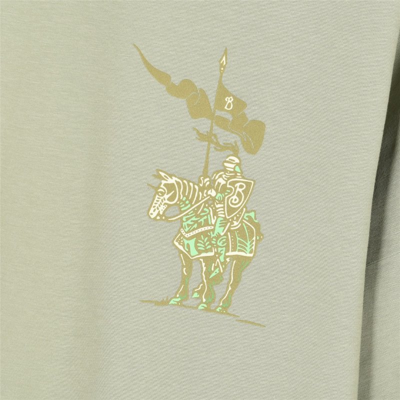 Sage Green Graphic Print Short Sleeve T-Shirt view