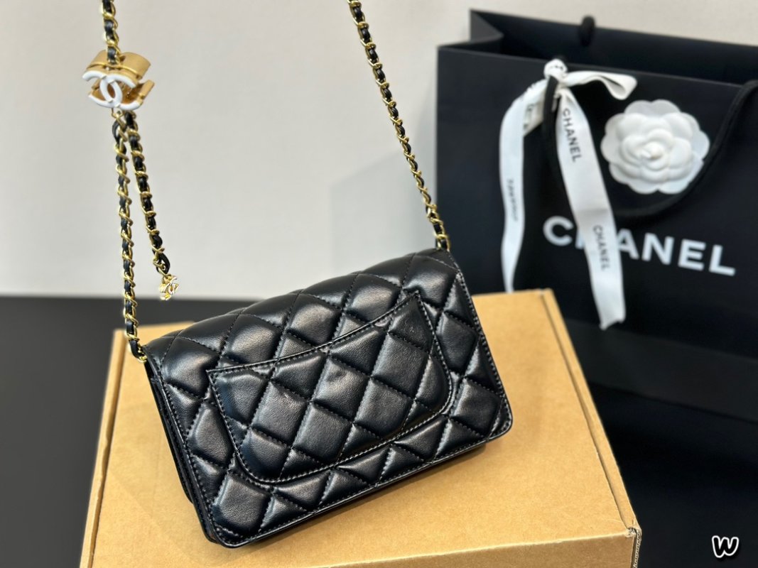 Chanel Black Quilted WOC Wallet on Chain Crossbody Bag view