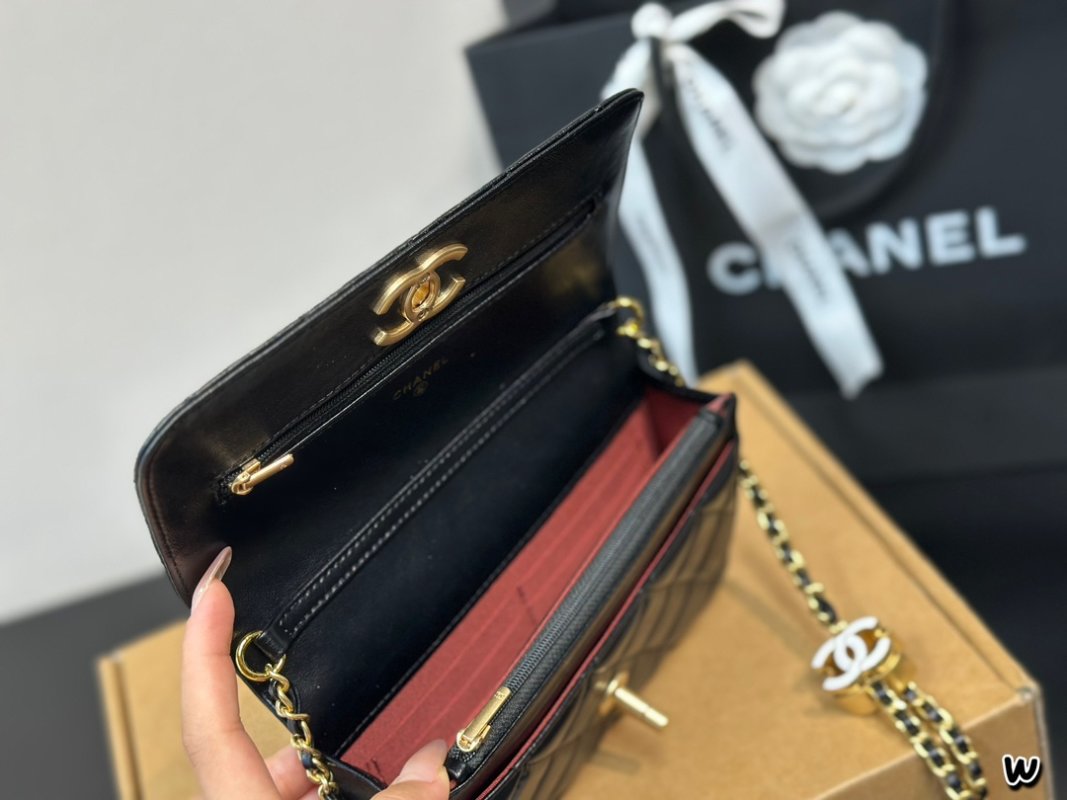 Chanel Black Quilted WOC Wallet on Chain Crossbody Bag view