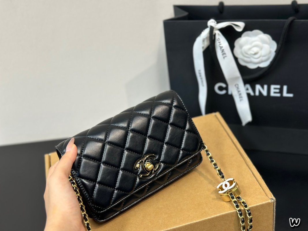 Chanel Black Quilted WOC Wallet on Chain Crossbody Bag view