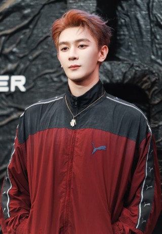 Puma Colorblock Track Jacket Burgundy Black view 4