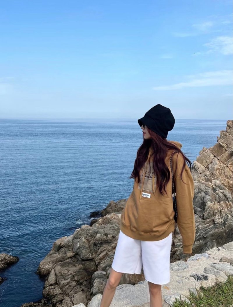 Burberry Camel Logo Hoodie view