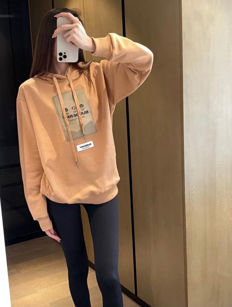 Burberry Camel Logo Hoodie view