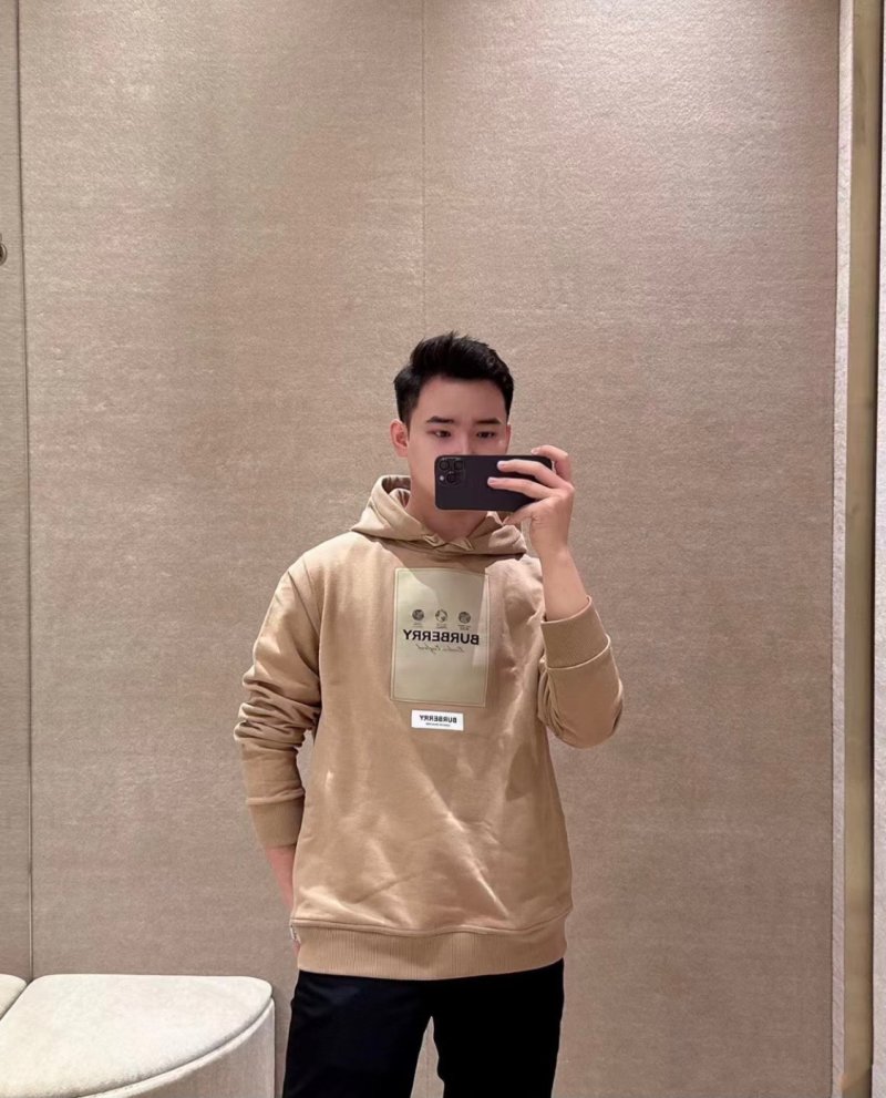 Burberry Camel Logo Hoodie view