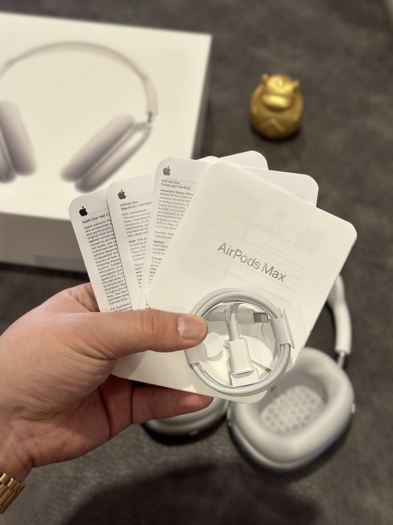 Apple AirPods Pro Max Silver 1:1 Replica Headphones view