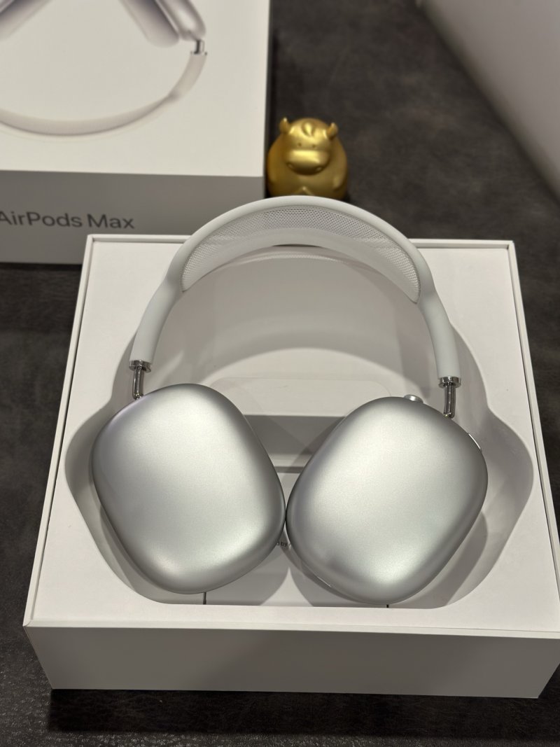 Apple AirPods Pro Max Silver 1:1 Replica Headphones view