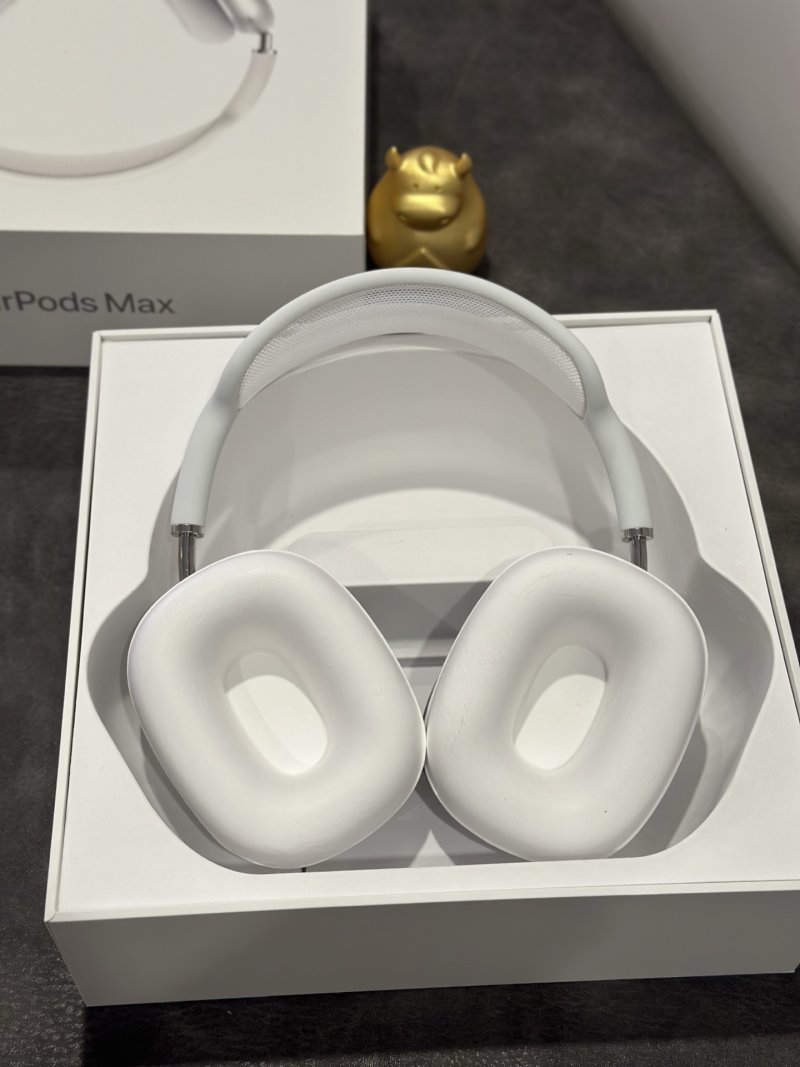 Apple AirPods Pro Max Silver 1:1 Replica Headphones view