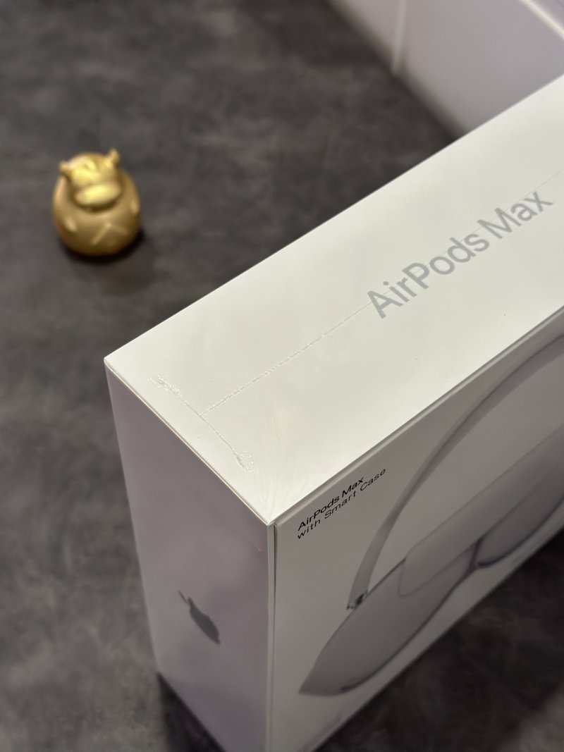 Apple AirPods Pro Max Silver 1:1 Replica Headphones view