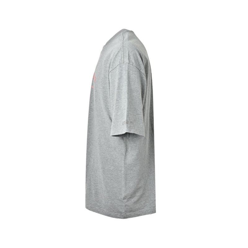 Amsterdam Graphic Grey T-Shirt view