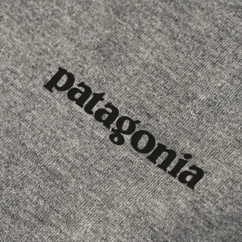 Patagonia Logo T-Shirt Grey view