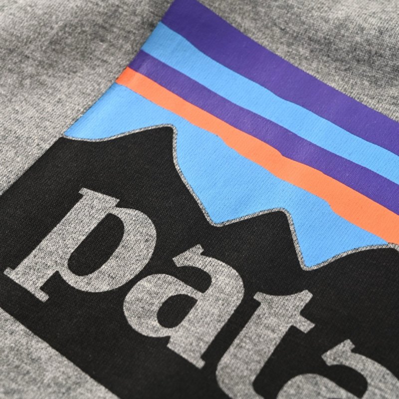Patagonia Logo T-Shirt Grey view