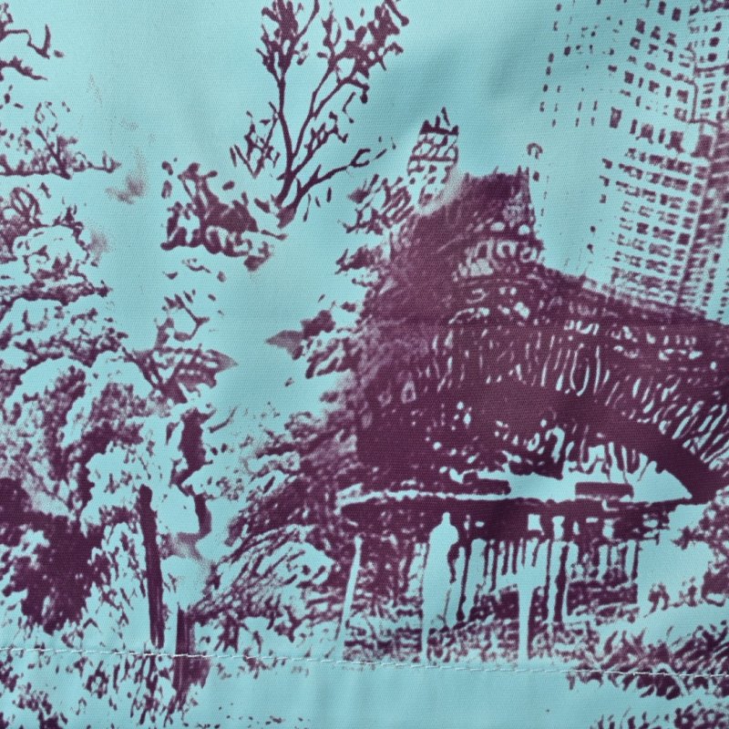 Louis Vuitton Monogram Scenic Print Shorts Light Blue view