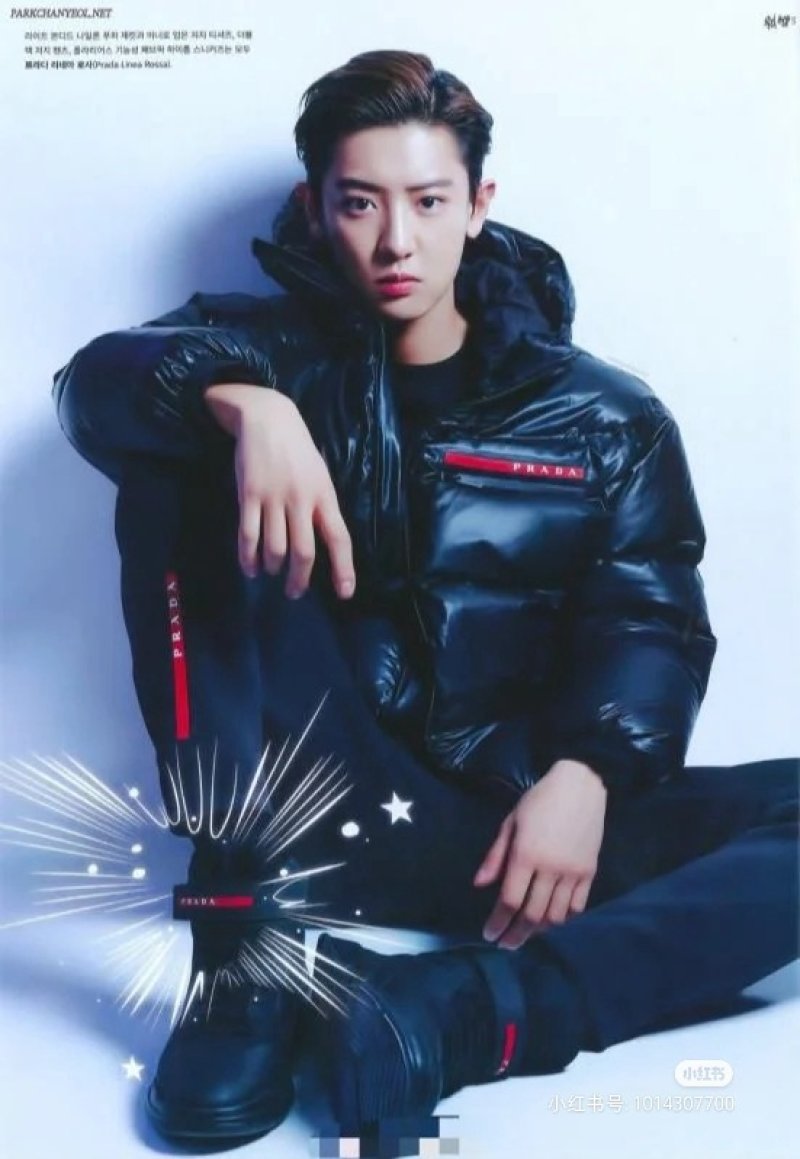 Prada Black Nylon Down Jacket with Red Logo Stripe