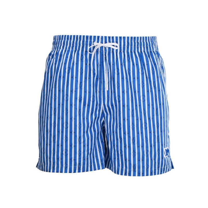 Blue Striped Shorts view