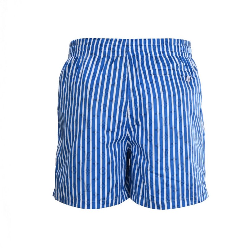 Blue Striped Shorts view