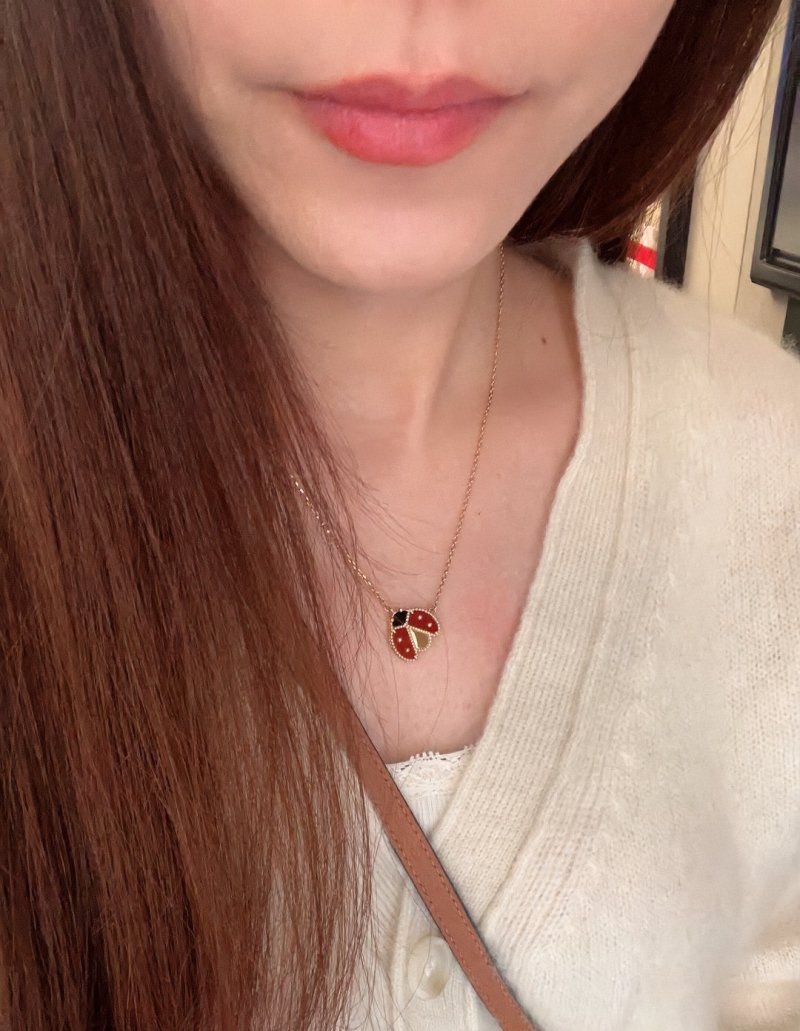 Van Cleef & Arpels Rose Gold Ladybug Agate Pendant Necklace view