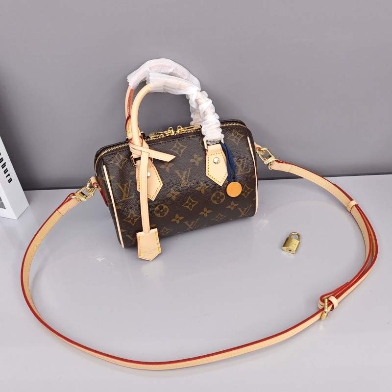 Louis Vuitton Speedy 20 Monogram Pillow Bag view