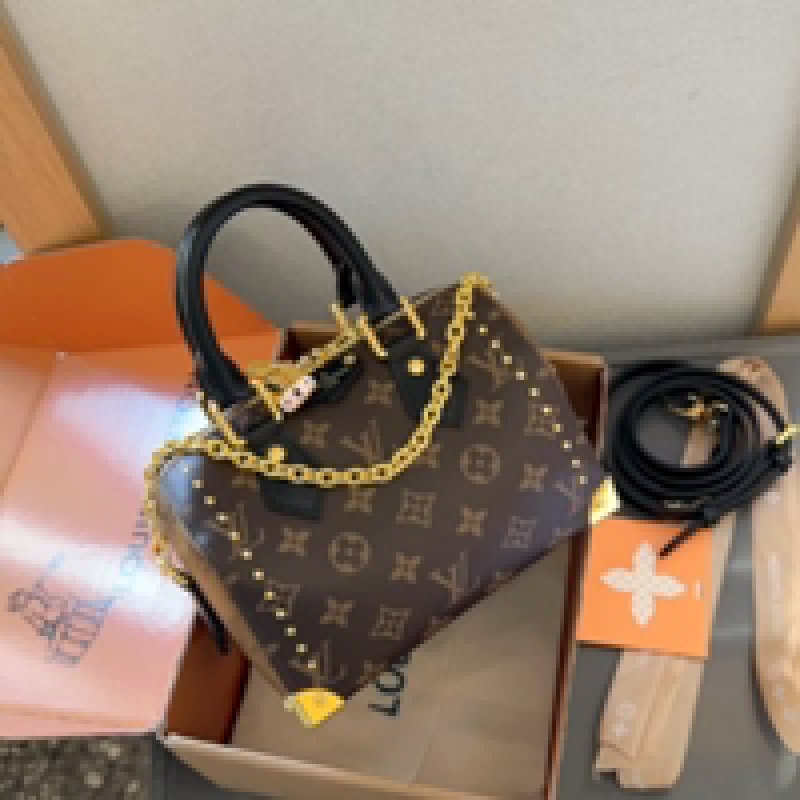 Louis Vuitton Speedy Trunk Boston Bag Monogram