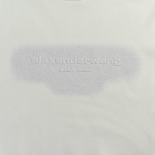 Alexander Wang 25FW Shadow Letter Crew Neck Sweatshirt White view 11