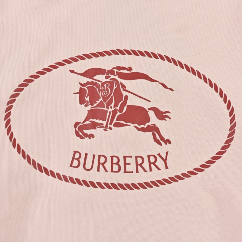Burberry Pink Zip Hoodie view