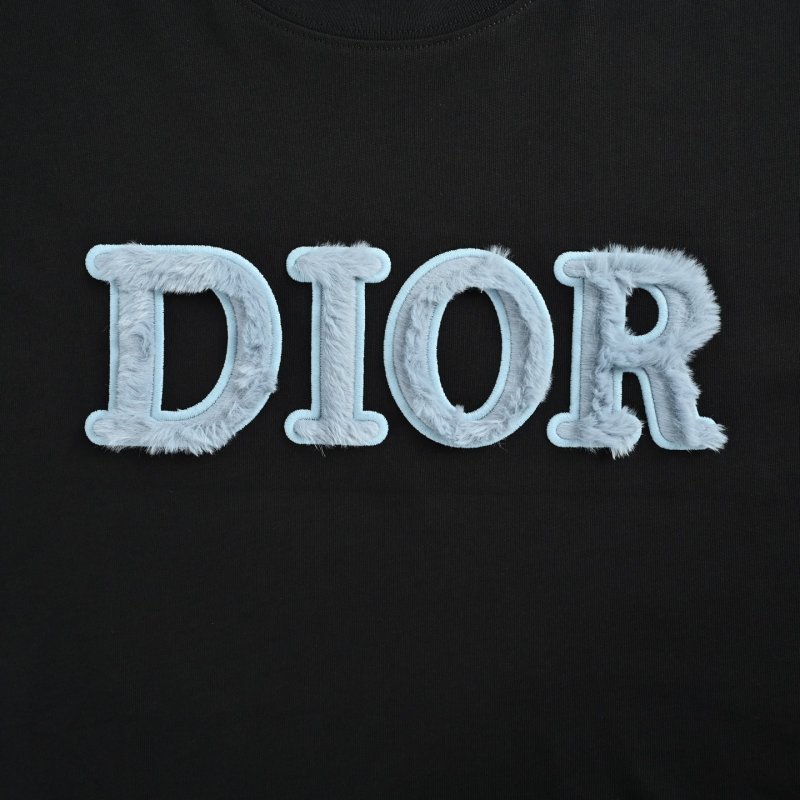 Dior Reversed Logo Black T-Shirt view