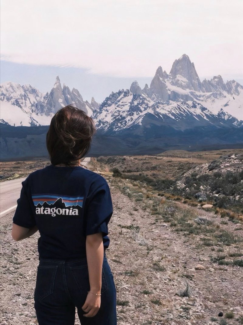 Patagonia Navy Logo T-Shirt view