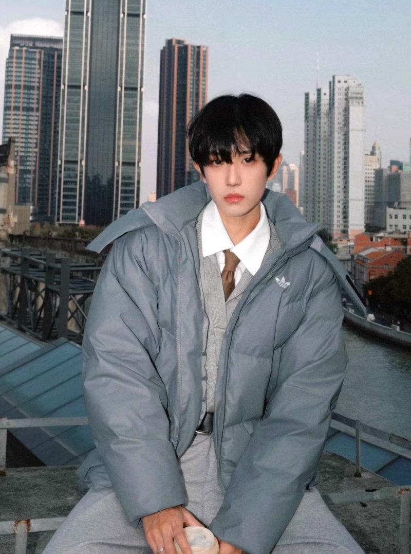 Grey Puffer Down Jacket - Oversized Fit view