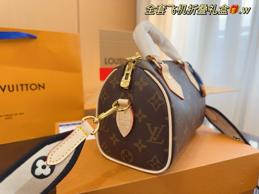 Louis Vuitton Speedy 20 Monogram Canvas Handbag with Leather Trim view