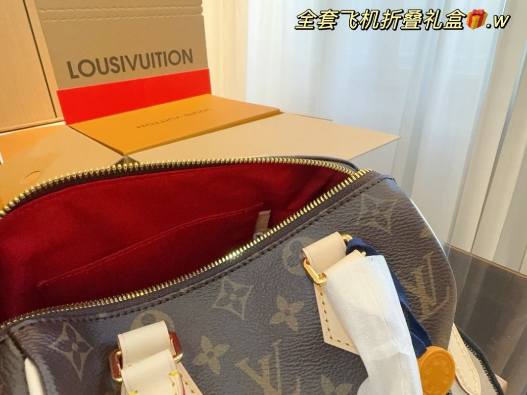 Louis Vuitton Speedy 20 Monogram Canvas Handbag with Leather Trim view