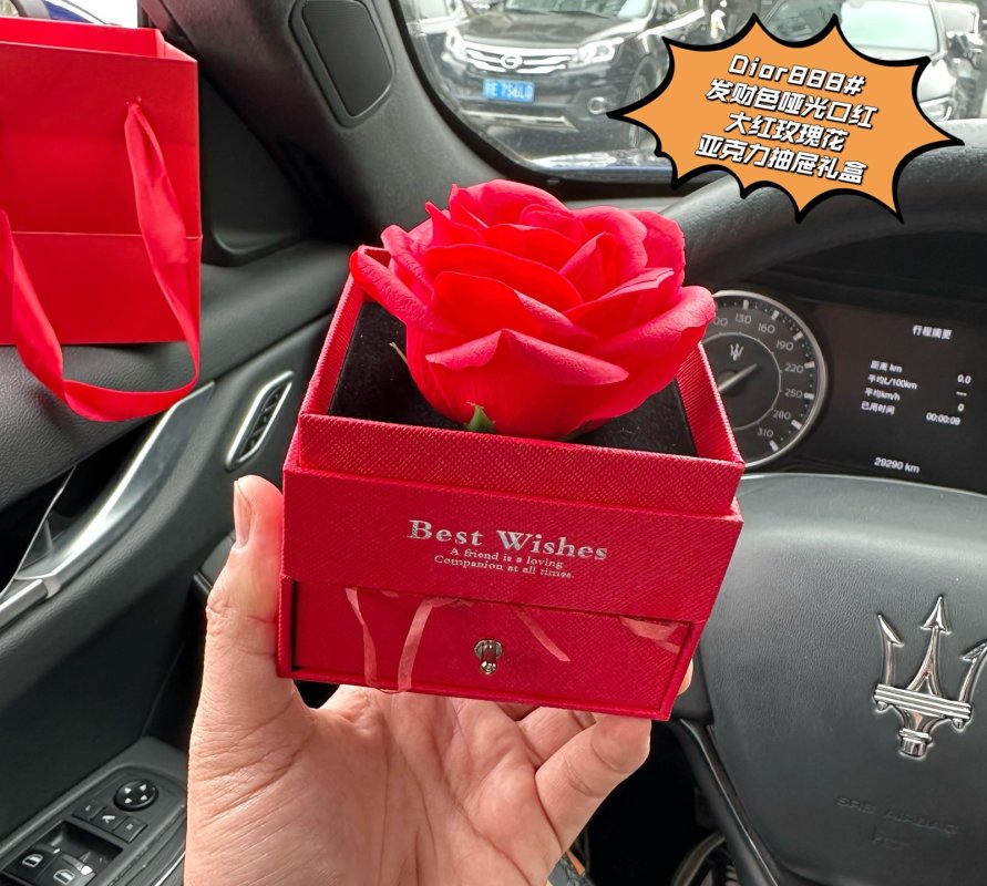 Dior Rouge 888 Lipstick & Preserved Rose Luxury Gift Box Set view