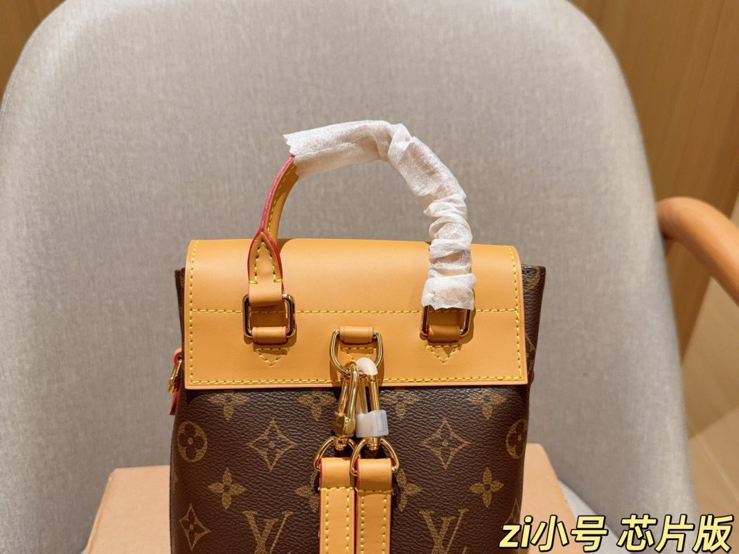 Louis Vuitton Soho Mini Backpack - Monogram Canvas view